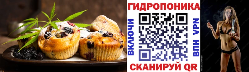 это формула где найти Динская Canna-Cookies конопля