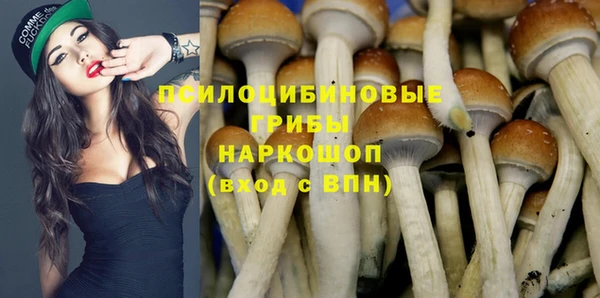ALPHA PVP Алзамай